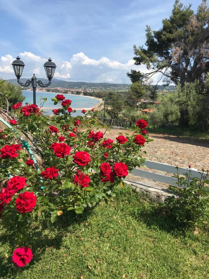 Villa In Cavo Kastri Residence Никити Экстерьер фото